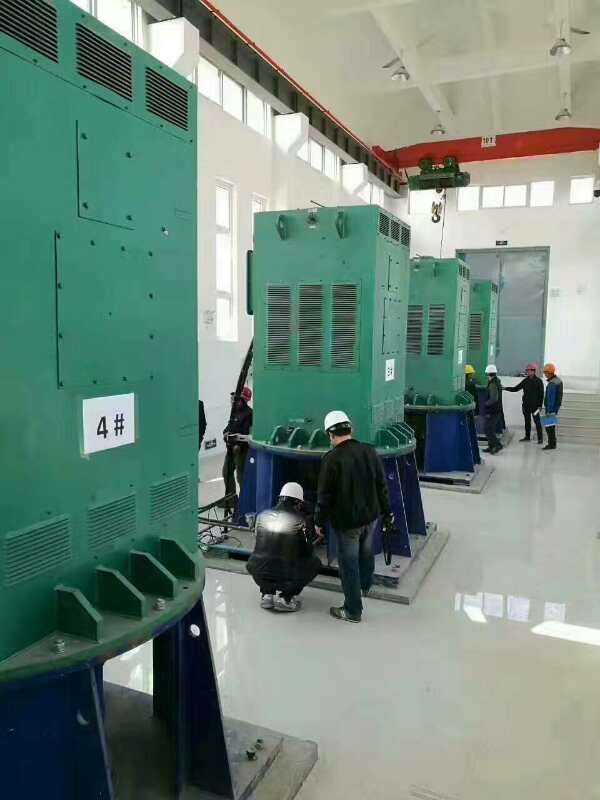青原某污水处理厂使用我厂的立式高压电机安装现场一年质保
